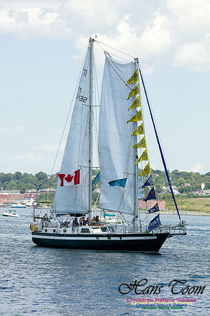 Regina-Germania 4