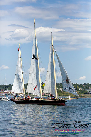 Spirit of Bermuda 3
