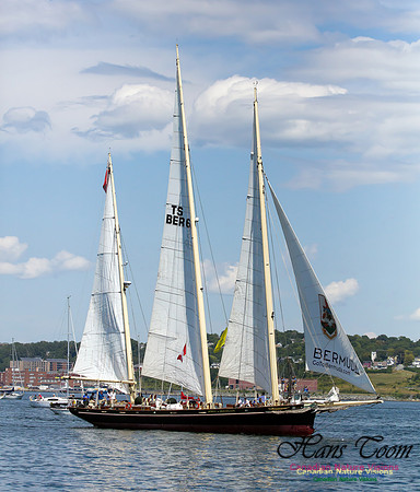 Spirit of Bermuda 4