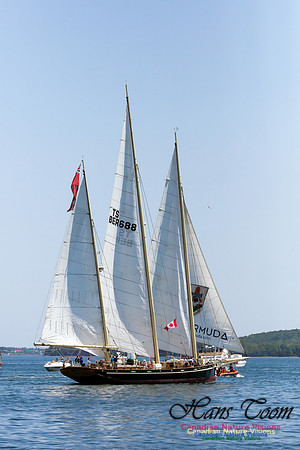 Spirit of Bermuda 5