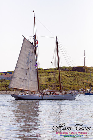 Spirit of South Carolina 1