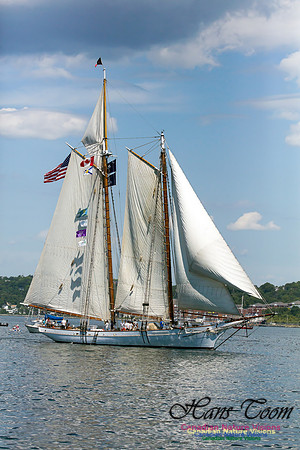 Spirit of Southern Carolina 6