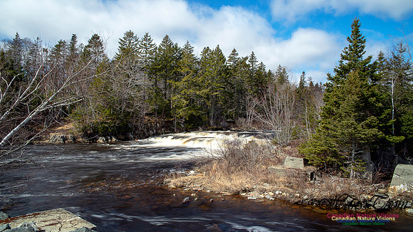 Moving Water 10