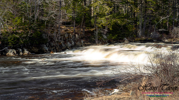 Moving Water 9