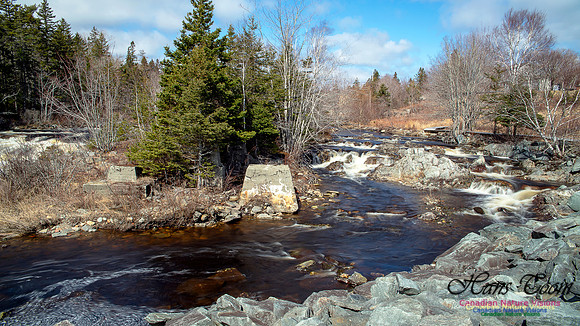 Moving Water 6