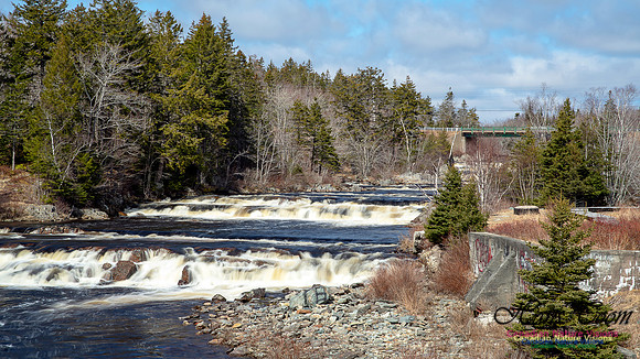 Moving Water 16