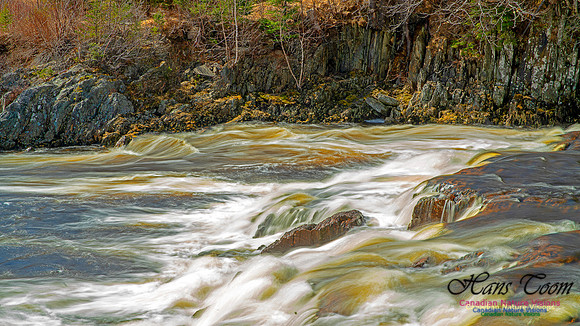 Moving Water 14