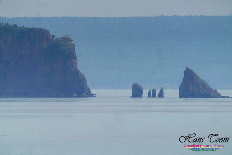 Cape Split 101