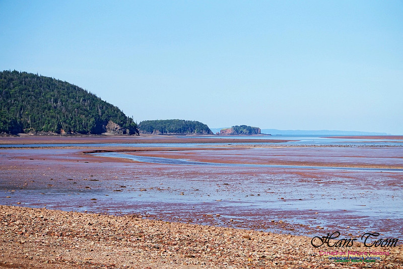 Five Islands Provincial Park 100