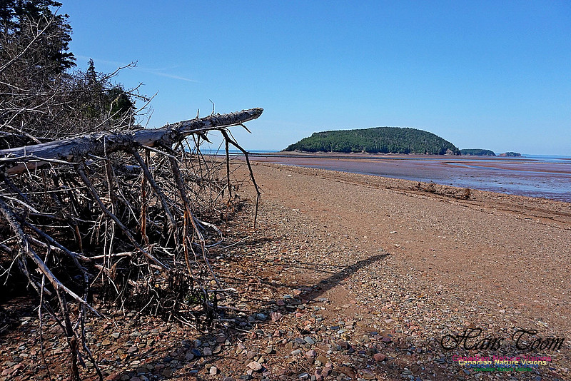 Five Islands Provincial Park 102
