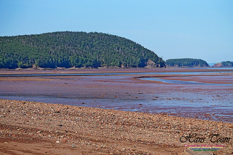 Five Islands Provincial Park 101