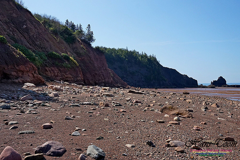 Five Islands Provincial Park 107