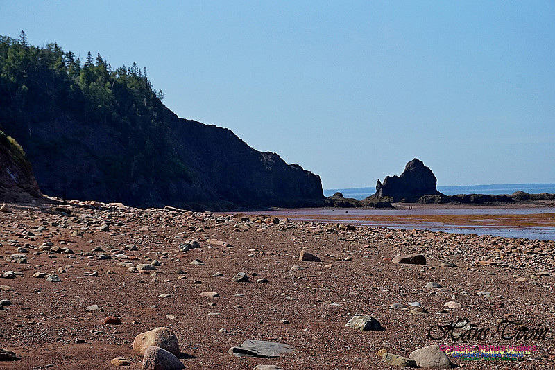 Five Islands Provincial Park 104