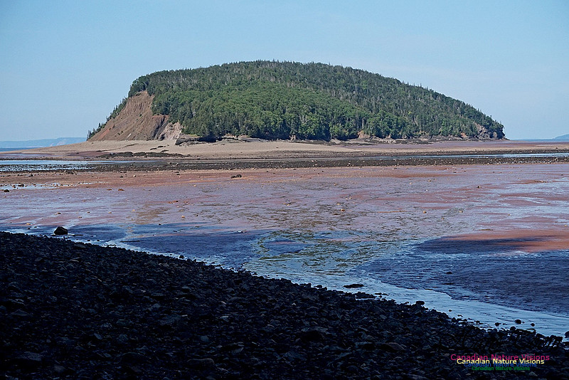 Five Islands Provincial Park 110