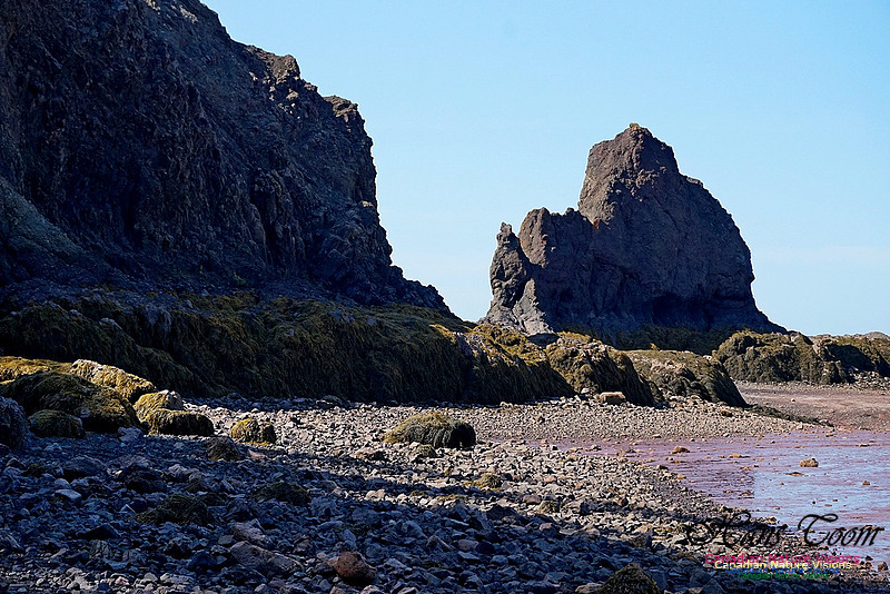 Five Islands Provincial Park 111