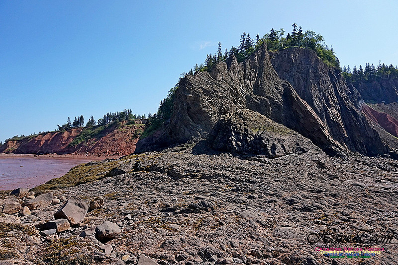 Five Islands Provincial Park 116