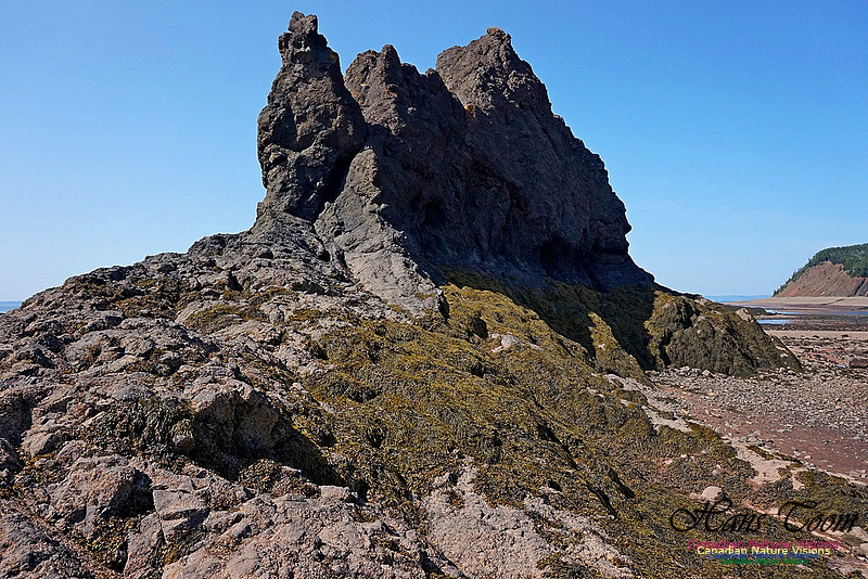 Five Islands Provincial Park 117