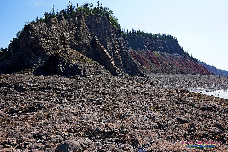 Five Islands Provincial Park 114