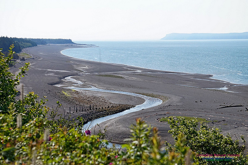 Ships Were Built Here 100