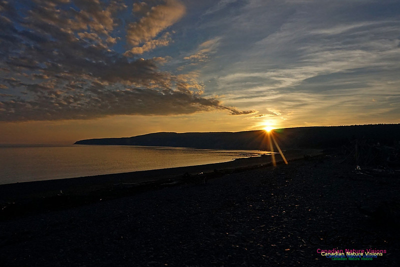 Day's End 100