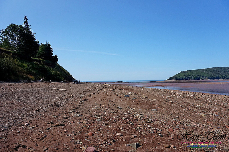Five Islands Provincial Park 103