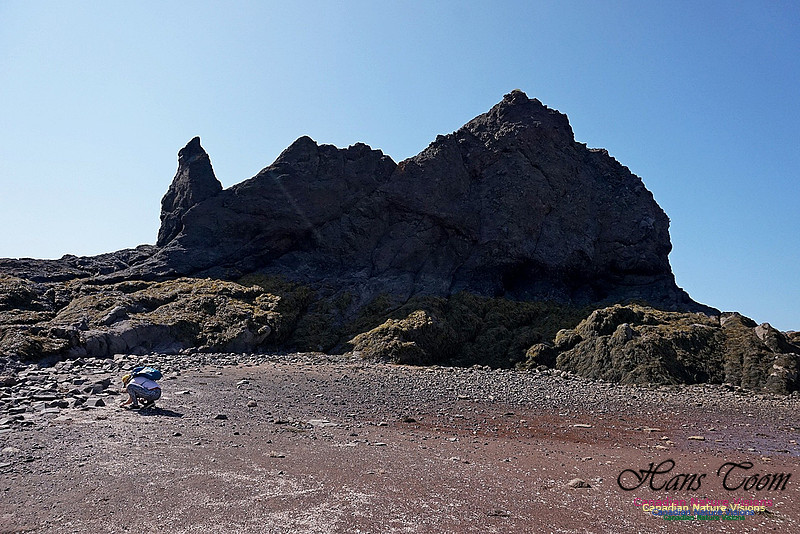 Five Islands Provincial Park 112