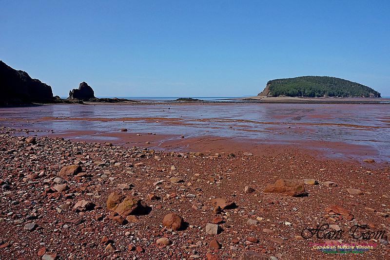 Five Islands Provincial Park 108