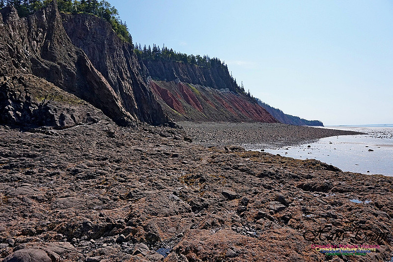 Five Islands Provincial Park 115