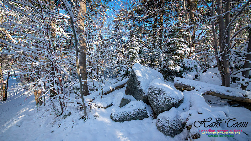 The Morning After 123