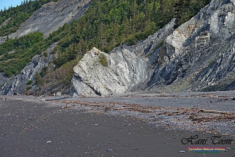 Fundy Ridge Trail 102