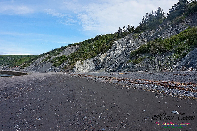 Fundy Ridge Trail 101