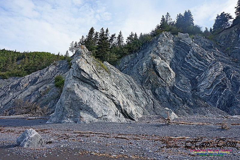 Fundy Ridge Trail 103