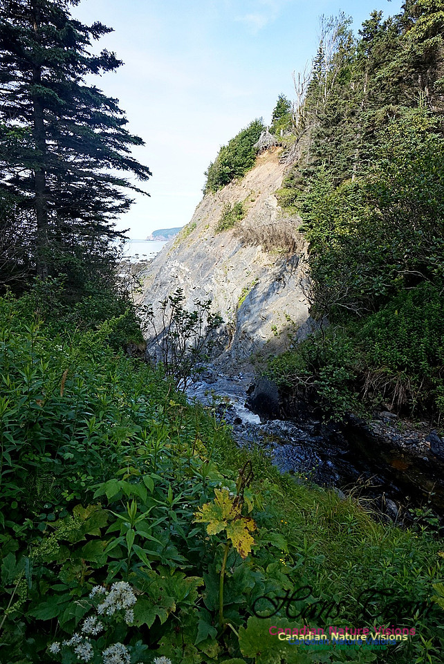 Fundy Ridge Trail 107