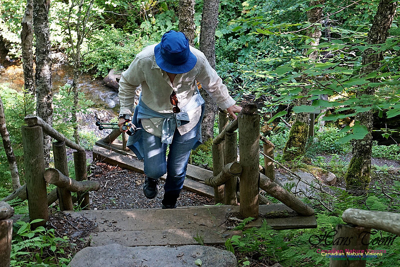 Fundy Ridge Trail 113
