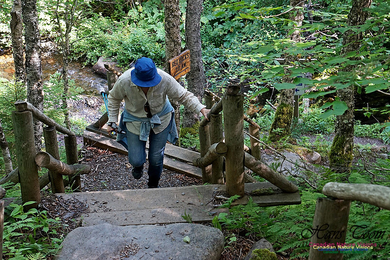 Fundy Ridge Trail 112