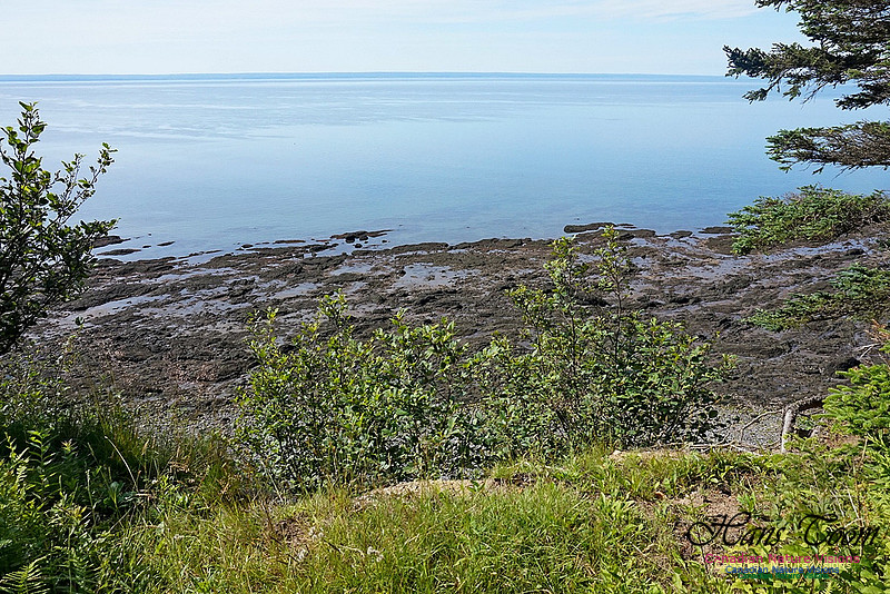 Fundy Ridge Trail 116