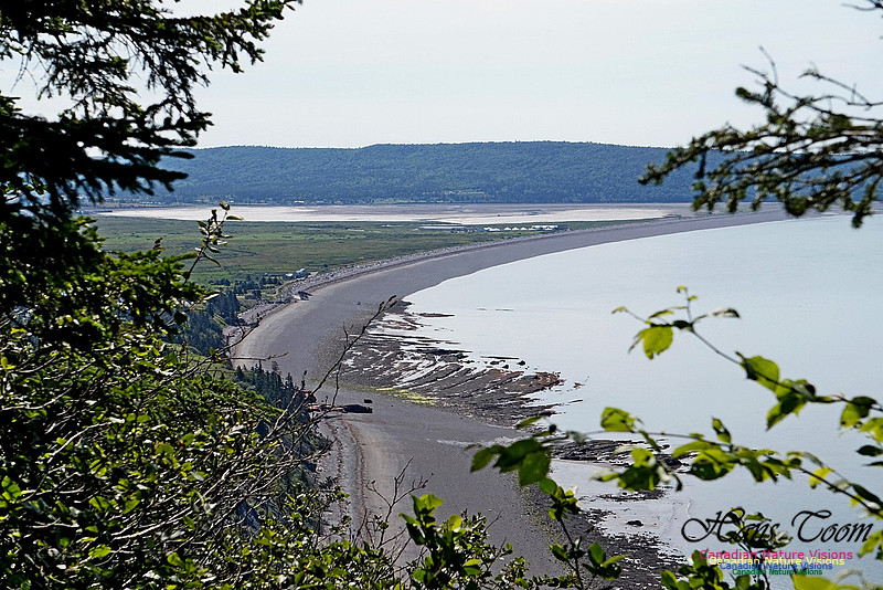 Fundy Ridge Trail 121