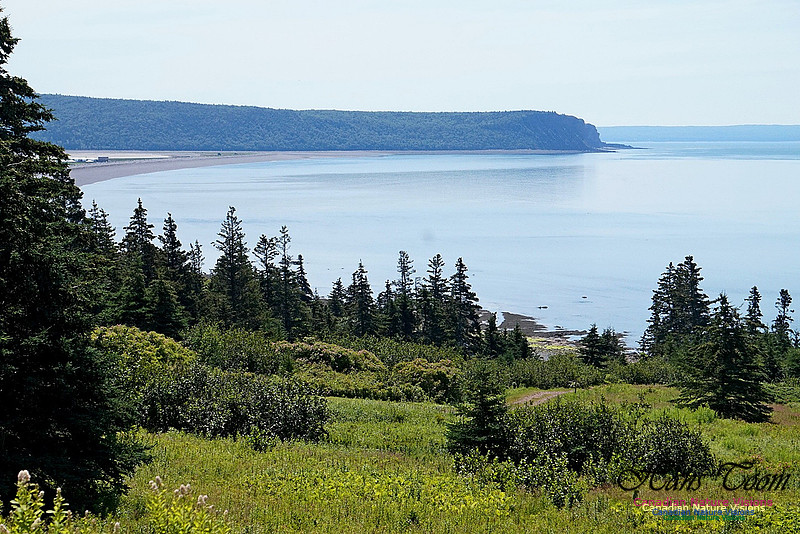 Fundy Ridge Trail 127
