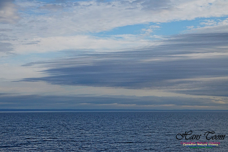 Late Day Cloud 102