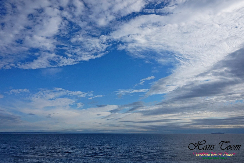 Late Day Cloud 100