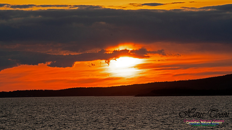 Peggy's Cove Sunset April 11, 2018 15