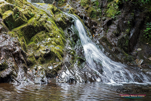 Butchers Falls