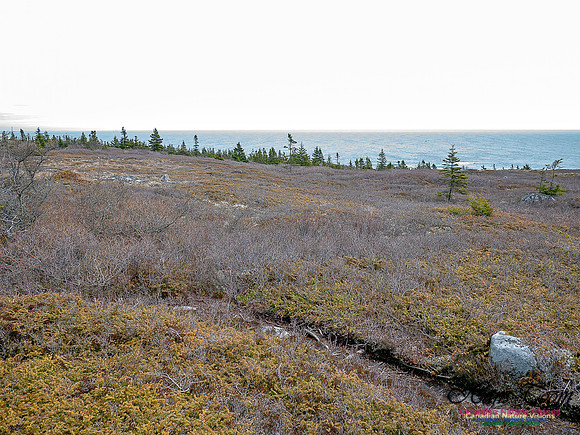 Duck Reef Loop 13