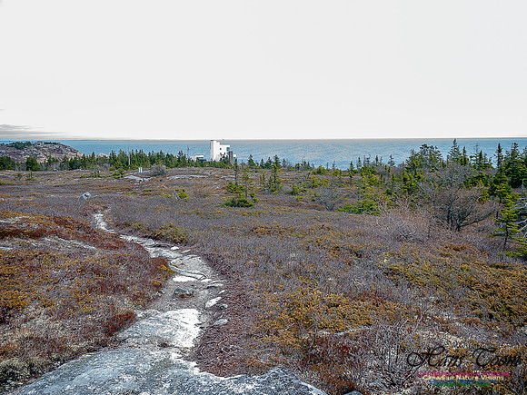 Duck Reef Loop 12
