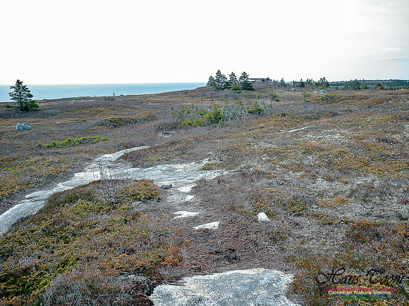 Duck Reef Loop 14