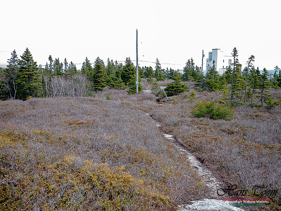 Duck Reef Loop 6