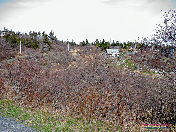 Duck Reef Loop 1