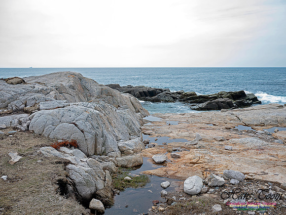Duck Reef Loop 42