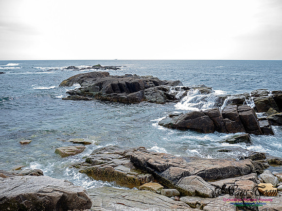 Duck Reef Loop 38