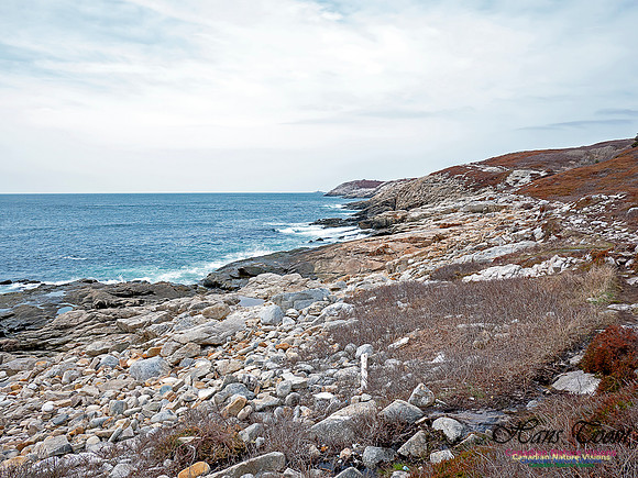 Duck Reef Loop 34